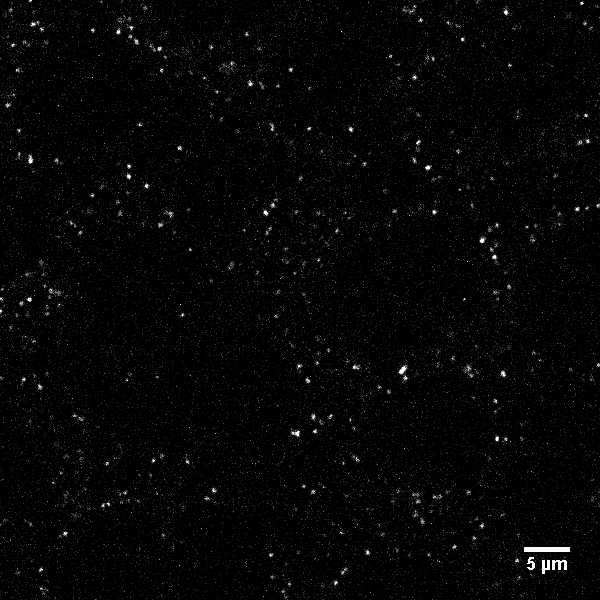 [object Object] thumbnail