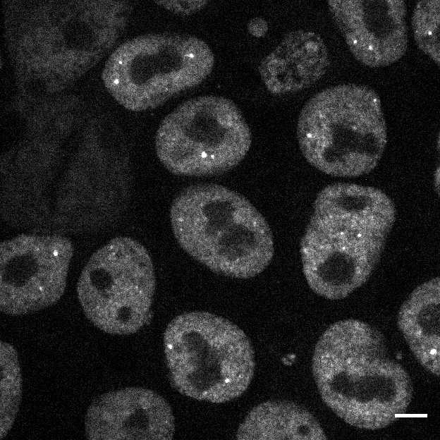 [object Object] thumbnail